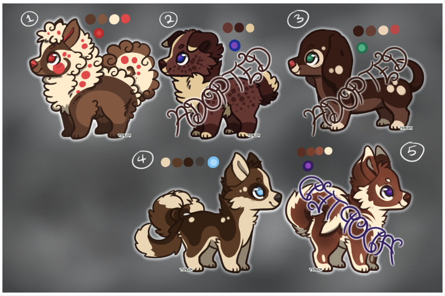 Puppers for Auction (5) - 2-5 available!