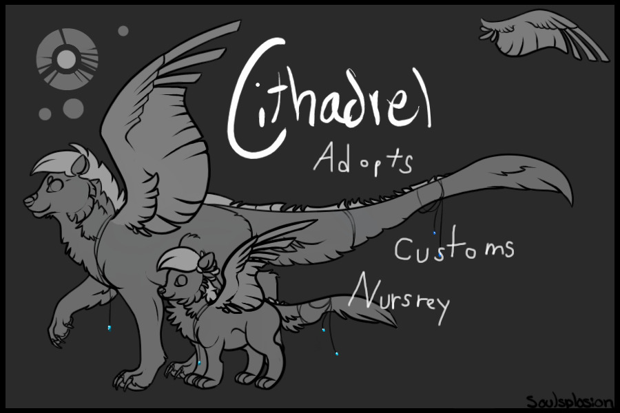 Cithadrel Adopts, Customs, and Nursrey