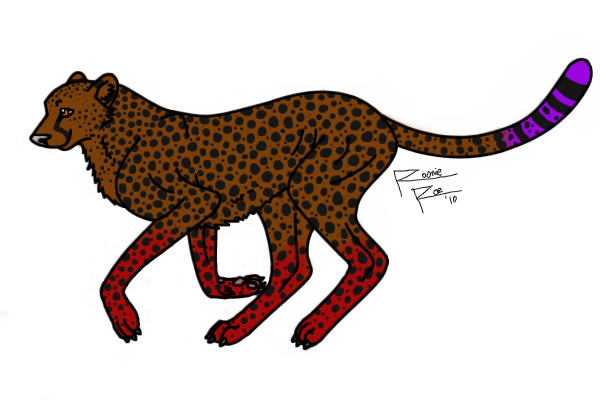 Cheetah