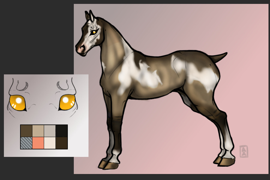 #013 Grullo Overo Paint