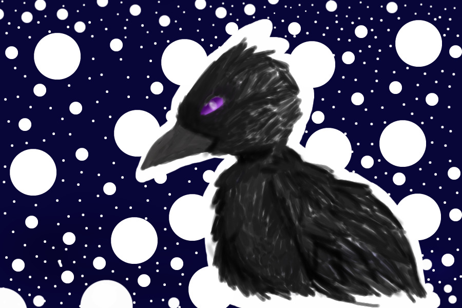 Ramsay The Crow