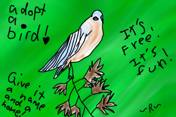 Adopt a bird!