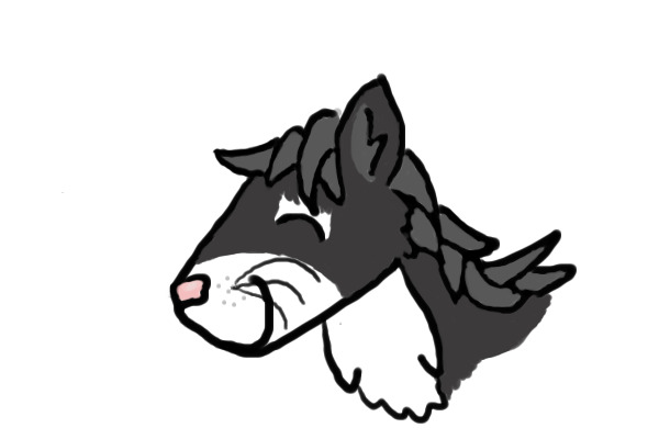Maned Coon Tail Wolf Art