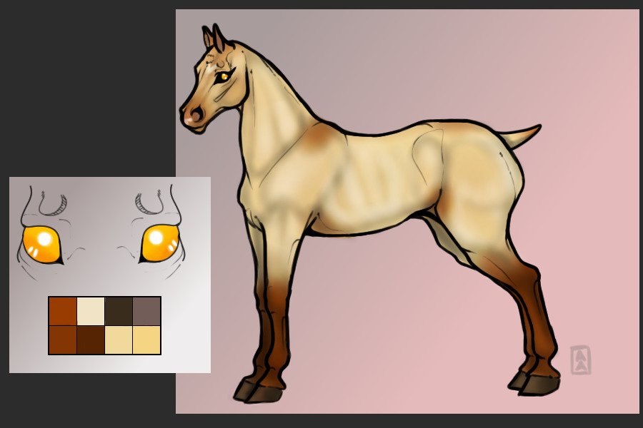 #016 Champagne Buckskin