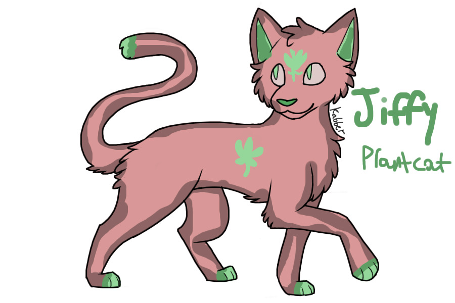 Jiffy Plant cat #1