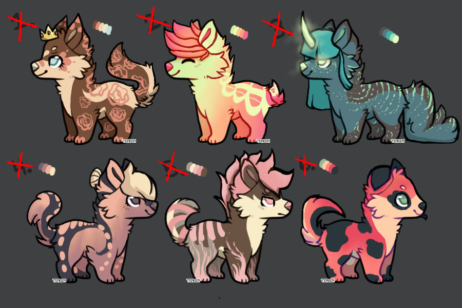 Dog Adopts Batch 1 | 0/6 Available
