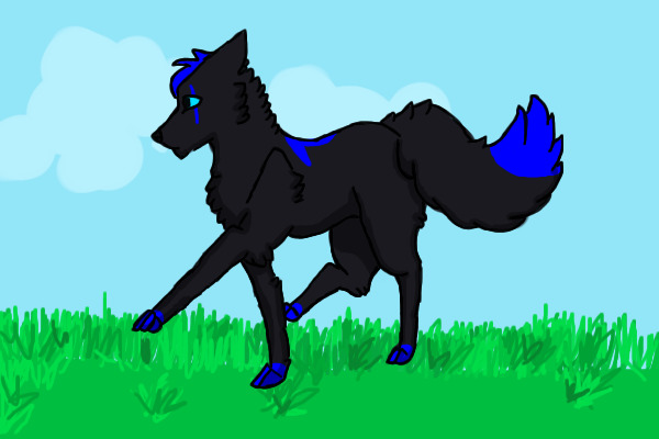 Birdstripe *Gift*