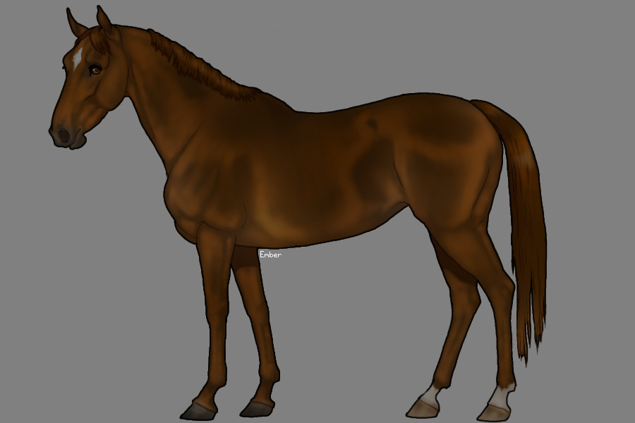 Colored in thoroughbred