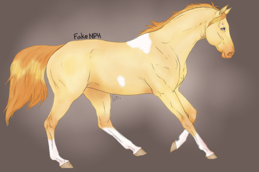 Perlino tobiano