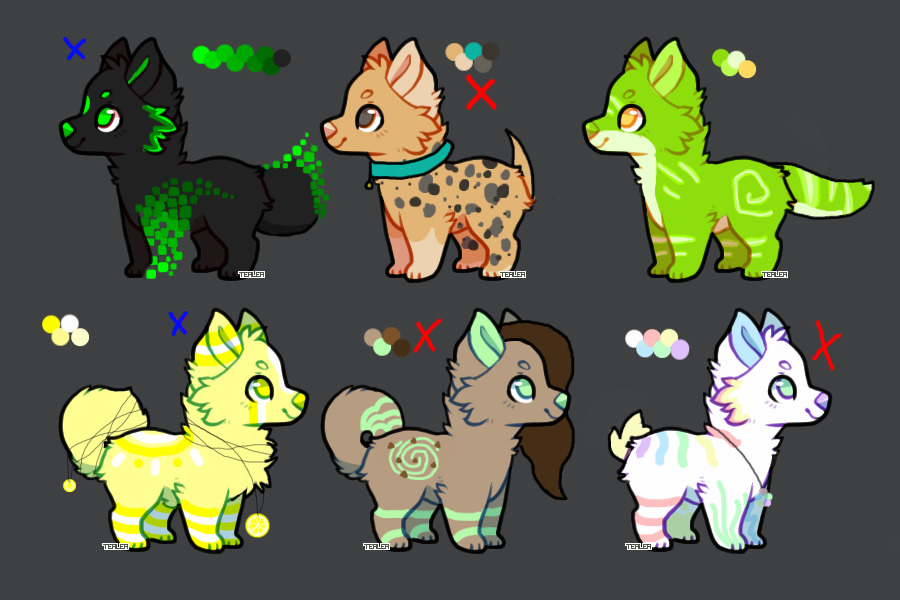 Adopts (3 is available)