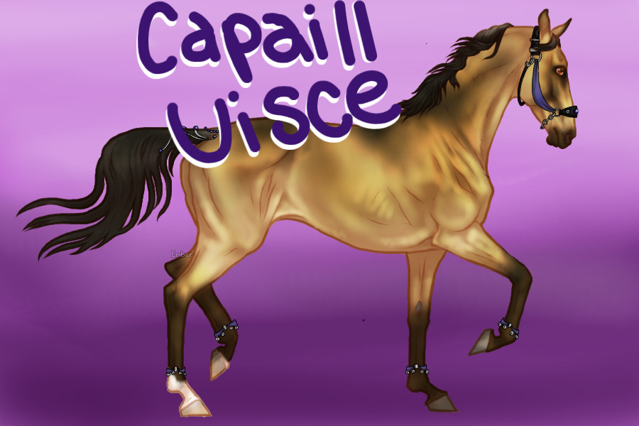 Capaill Uisce