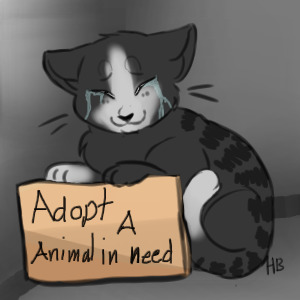 Adopt a animal in need today.