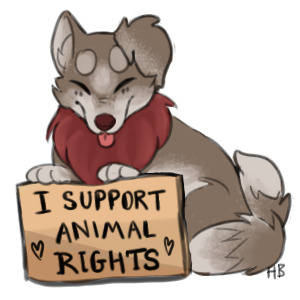 I Support Animal Rights.