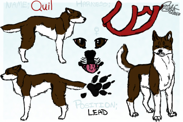 Lead|Quil
