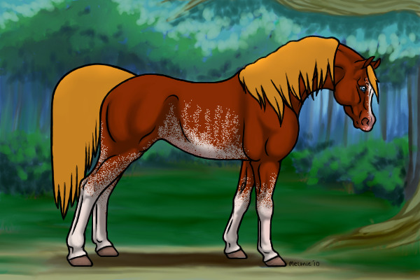 Flaxen chestnut rabicano
