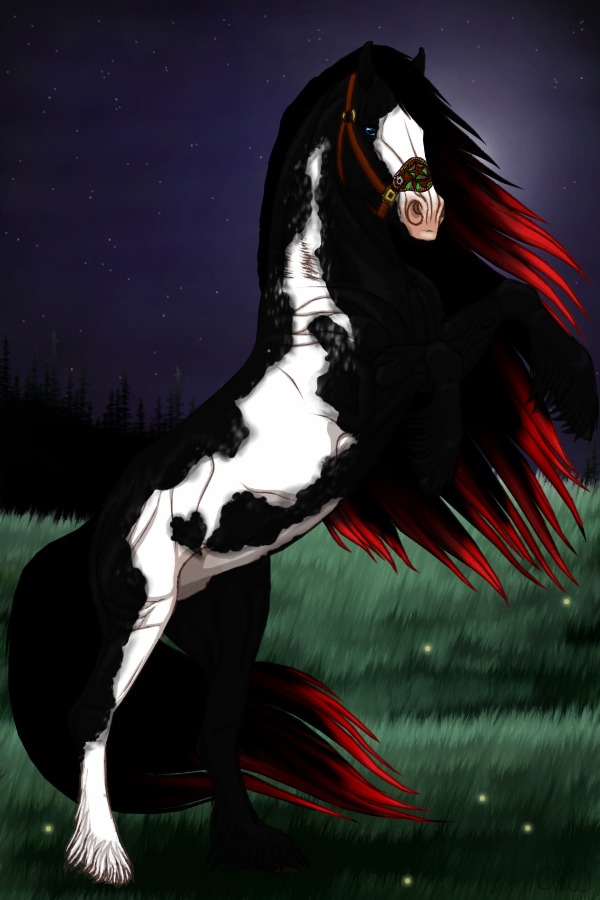 ~❊~ #165 Midnight Stallions ~❊~
