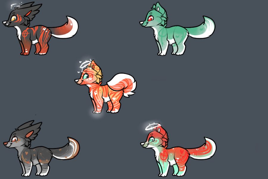 Jello x Blaze x Tiger