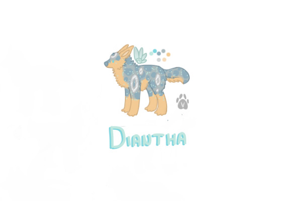 diantha // no bg