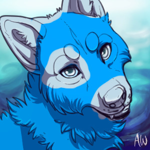 A cute wolf avatar!