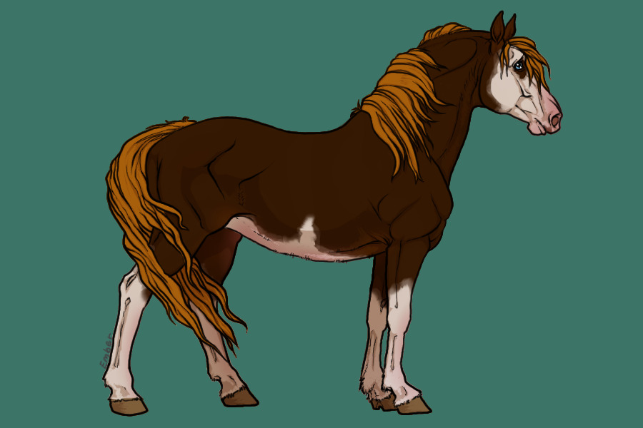 Flaxen liver sabino