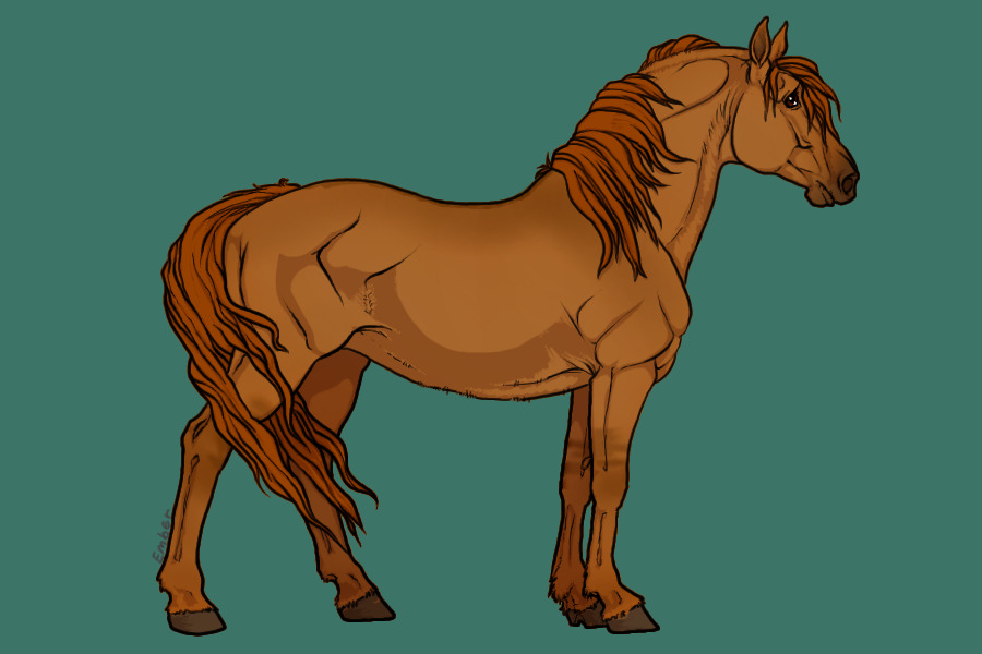 red dun