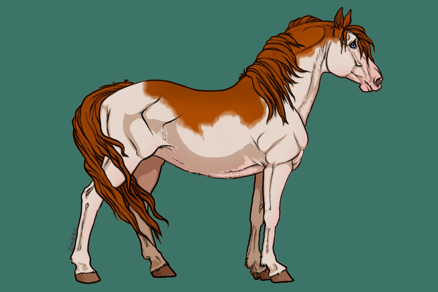 Chestnut paint3