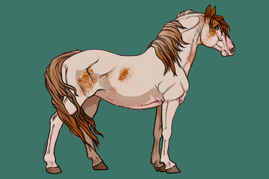 Chestnut paint5