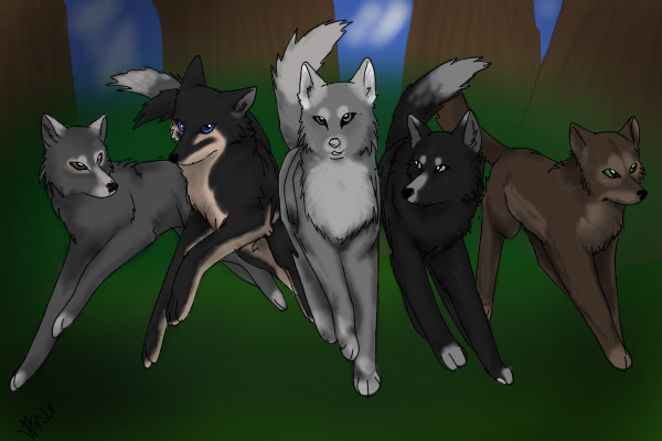 Upcoming Story Image