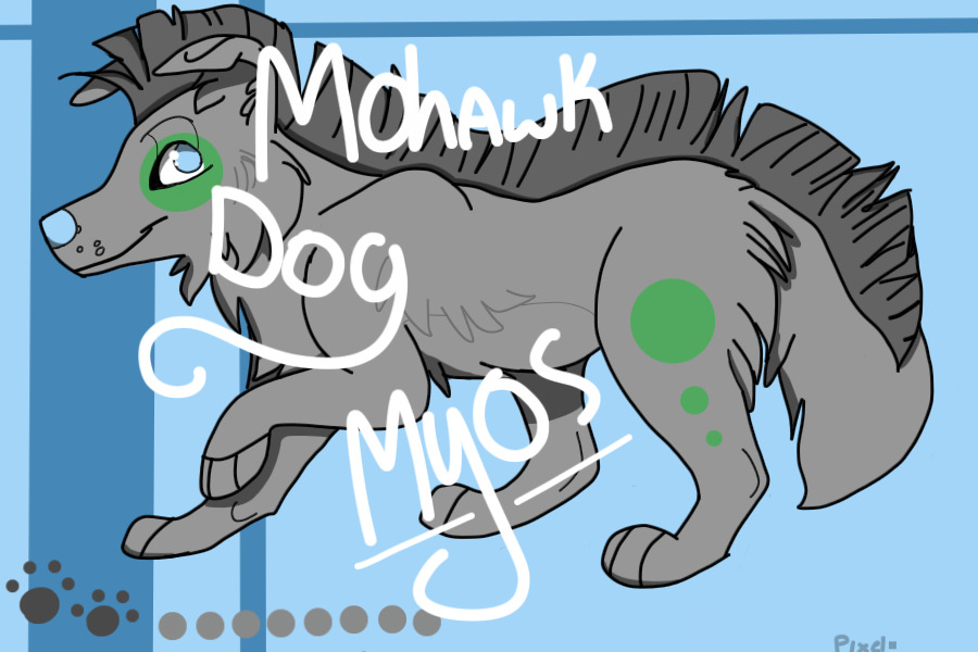 Mohawk dog Myos!