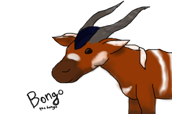 Bongo the bongo, with tricorn hat XD