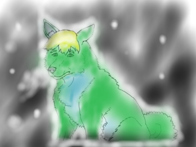 Wolf in snow