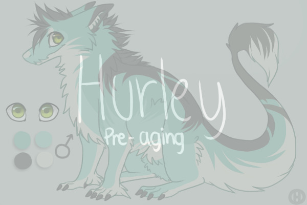 Hurley's Growth