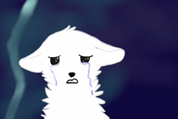 Little white dog crying thing