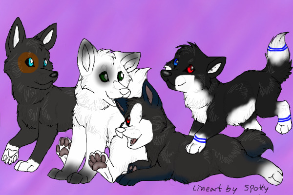Konna and Elzador's pups