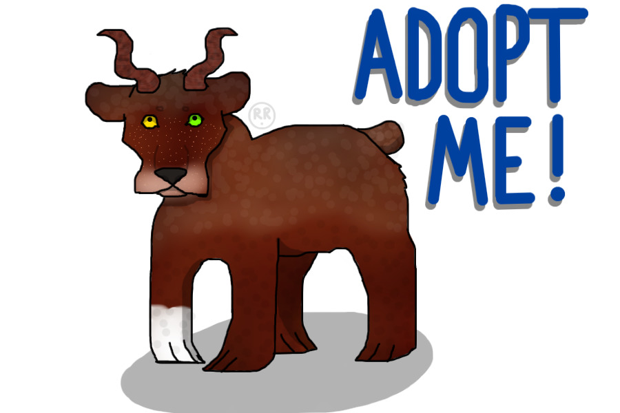 adopt a bear