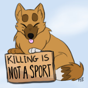Killing Is Not A Sport!