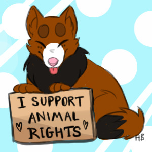 YEY Animal Rights!
