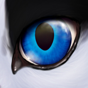 Mishka's eye