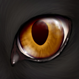 Yellowfangs eye