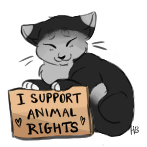 Support Animal Rights ~ Editable Colored In