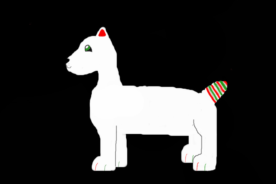 Mexican Terrier