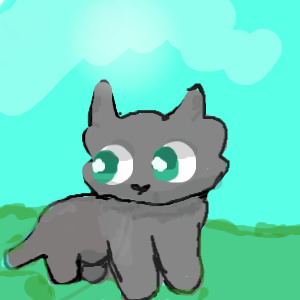 Munchkin kitty avatar