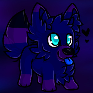 Cute pup Nova