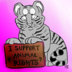 I Support Animal Rights!