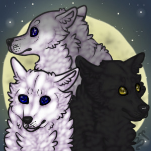 Moon, Shade, and Kori