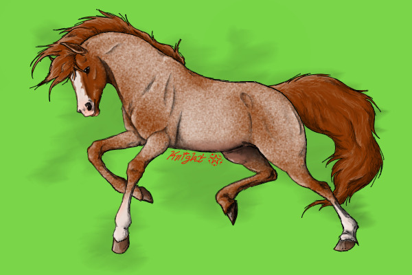 roany pony