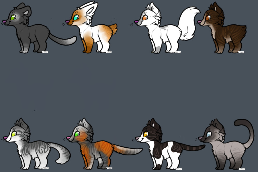 Cat Designs for Stargirl