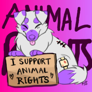 ♥ I support animal rights! ♥ ❀Naniya Nalala❀