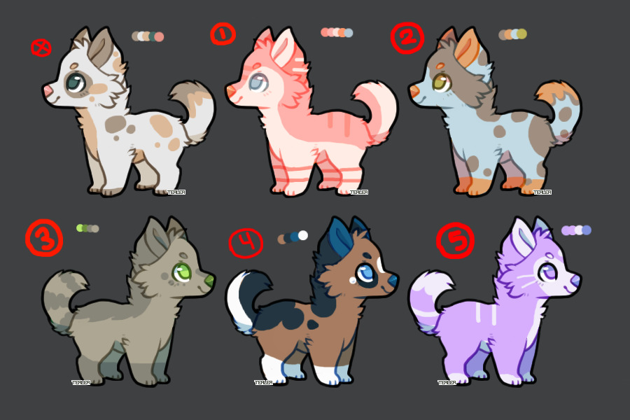 Some Adopts For Sale