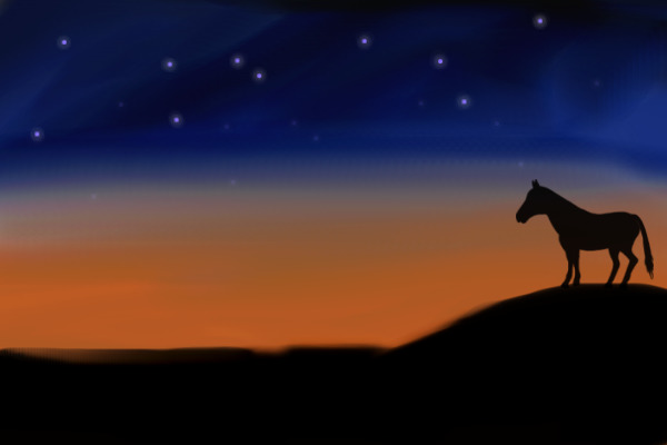 starry sunset